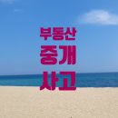 편안한부동산중개 이미지