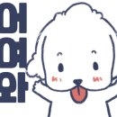 DM통신 네이버블로그