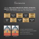 테라노바