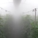 강경농장 이미지