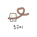 메이디뷰티