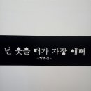 미스터김밥 - 송파구 풍성로 66 | 미스터김밥