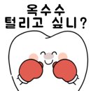 건보치과의원 네이버블로그