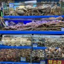 하얀수산 | 노량진수산시장 맛집 태성수산 해산물 새우 가리비 조개 구매 후기