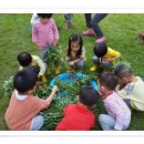 지묘어린이집 이미지