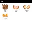 판코평택