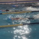 학촌실내수영장 이미지