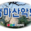 권만희1 Daum카페