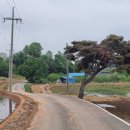 운정1리마을회관 이미지