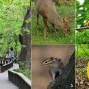 상수리공원 이미지