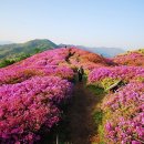 남운주유소 이미지