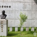 만해 Daum카페