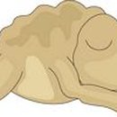 두꺼비한의원 이미지