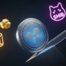 중앙컴퓨터세탁 이미지