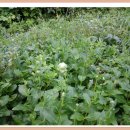 이수표농장 이미지