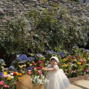 대명중학교 | 대구 앞산주택 본관 돌잔치 후기 (feat. 무료돌상)