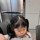 소잡는날