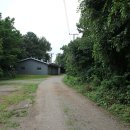 남산공원길1 이미지