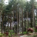 푸른숲 민박 이미지