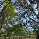부산 가볼 만한 곳 추천: 바다 위 사찰, 해동 용궁사 방문 후기