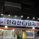 한라산똥돼지 이미지