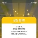 땡스가든 - 종로구 평창3길 21 | 땡스가든