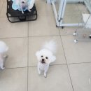 리쌀롱 이미지