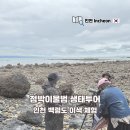 [생태탐방] 인천중앙공원 | 인천 백령도 이색 체험 점박이물범 생태투어 후기(진짜 있음)