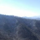 용흥상사 이미지