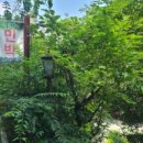 고둔치민박 이미지