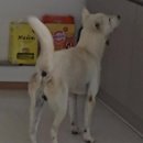 건이