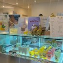 노란코끼리 | 강동구 천호역 조용한 카페 카공 추천 카페노란코끼리