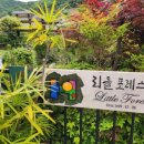 거제펜션 거제야호 외치게 된 거제 워크샵 숙소 리틀포레스트 양옥 후기