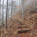 고양산아람마을(풍암2리) | 강원 홍천 풍암1리 장막~고양산~아미산~검산1리~56번국도 종주