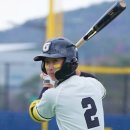 서교초교 이미지