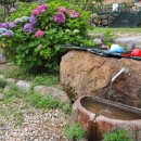 청춘짜장 이미지