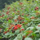 종복농장 이미지