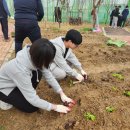 정산중학교 이미지
