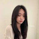아눔헤어 이미지