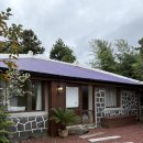 표선여가 이미지