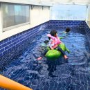 수피아라 A 이미지