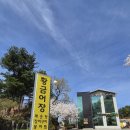 가평 데이트 마지막 코스로 너무 좋았던 분위기 맛집, [황금어장] 후기
