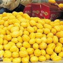 가은농장 이미지