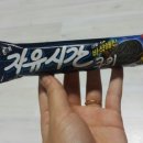 자유시간 이미지