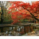 삼삼1급자동차공업사 이미지