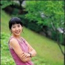 옥탑방 고양이 이미지