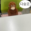 동현과재영 이미지
