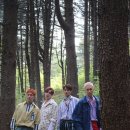 제이플러스 이미지