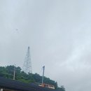 25시낚시 | 마산에서 낚시 힐링 왔어요! 원전 선상콘도 고등어 낚시 후기