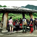 남근농장 이미지